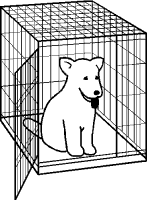 Dog in wire crate
